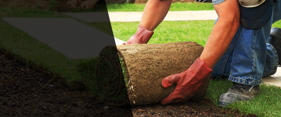 Santa Fe Springs Landscapers